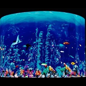 Meet your Posher, Tamam